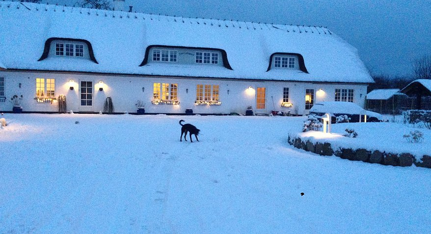 Rane Ladegaard, Denmark